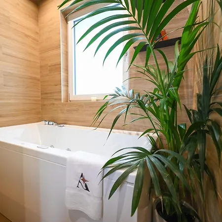 Appartement Aurisea Luxury - And *
